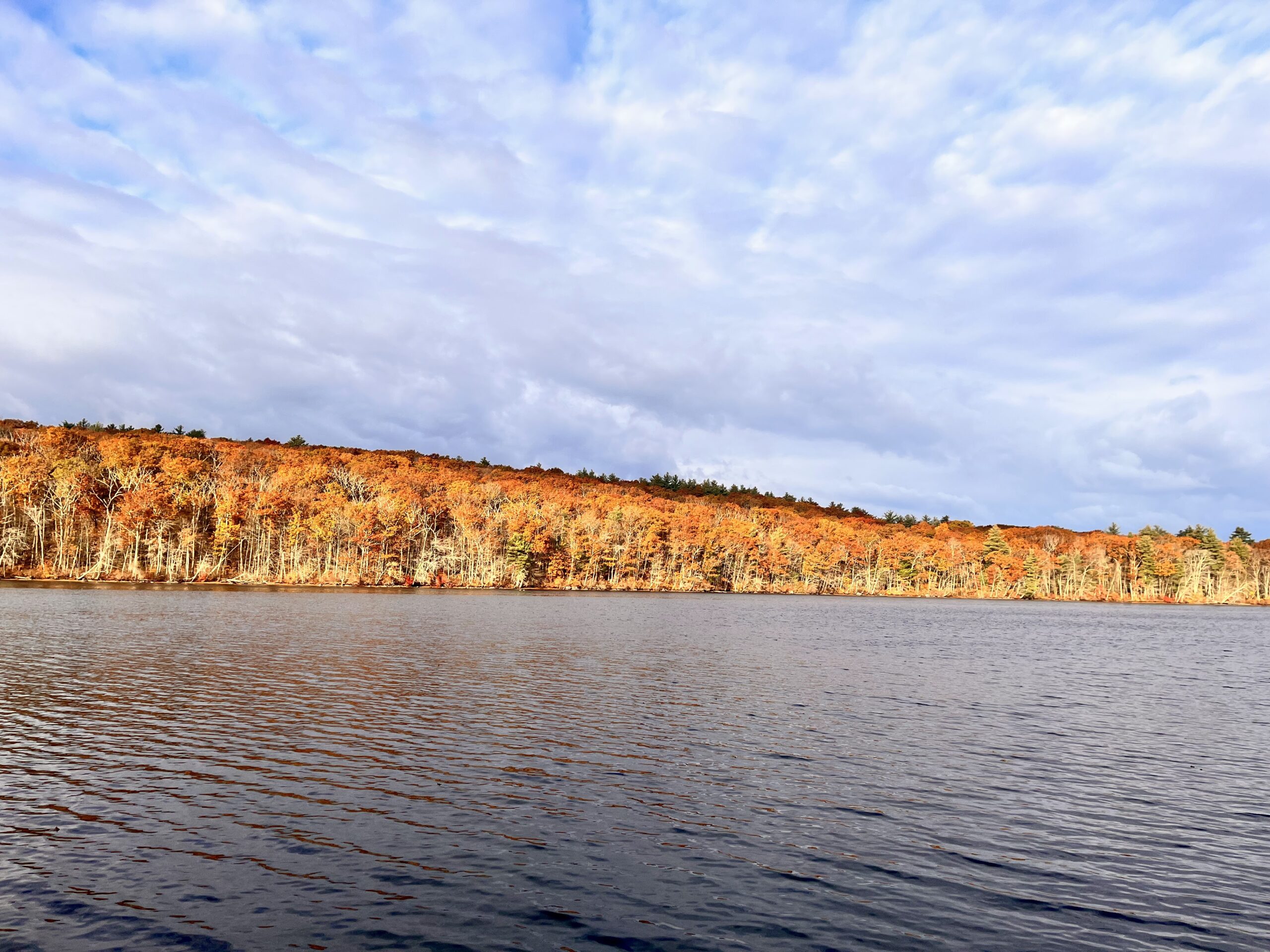 Landscape clad with trees mostly with different shades of brown and minimal green next to a body of water, with very cloudy sky overhead.