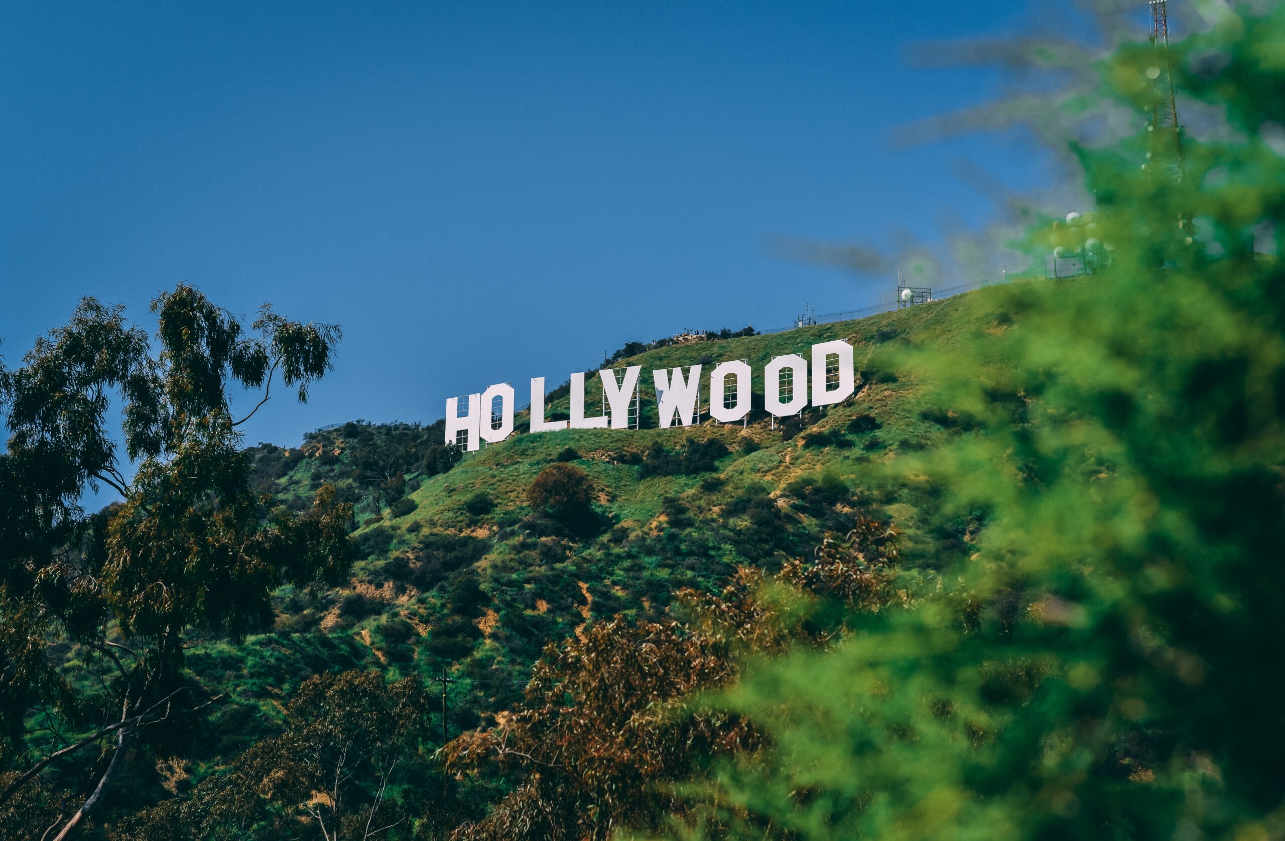 Hollywood sign on a hill with different shades of green foliage around it. A very blue sky sits in the background.