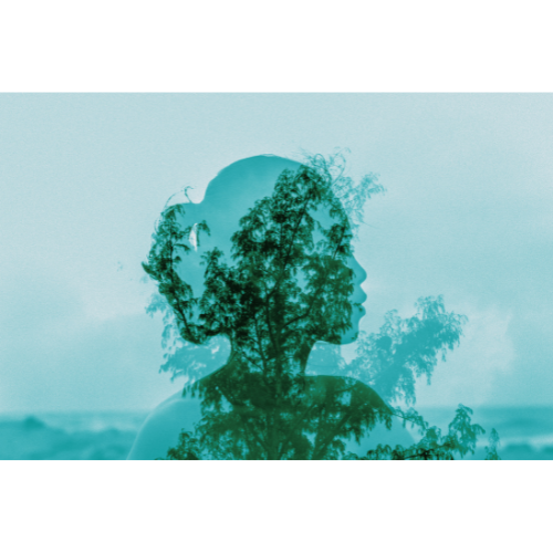 A light blue silhouette of the profile of a woman’s head and shoulder, behind the outline of a tree.