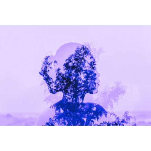 A purple silhouette of the profile of a woman’s head and shoulder, behind the outline of a tree.